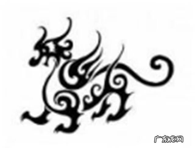 猛禽鸟类有哪些 风水猛禽分类