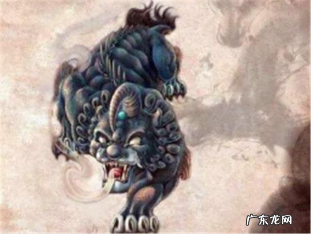 猛禽鸟类有哪些 风水猛禽分类