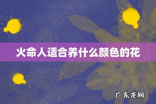 火命人适合养什么颜色的花