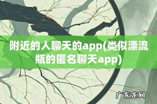 类似漂流瓶的匿名聊天app 附近的人聊天的app