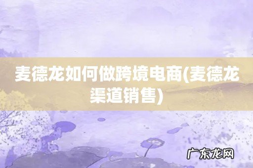 麦德龙渠道销售 麦德龙如何做跨境电商