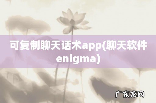 聊天软件enigma 可复制聊天话术app
