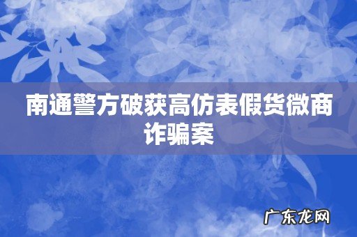 南通警方破获高仿表假货微商诈骗案