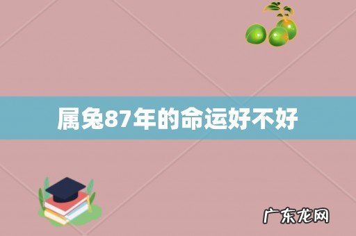 属兔87年的命运好不好