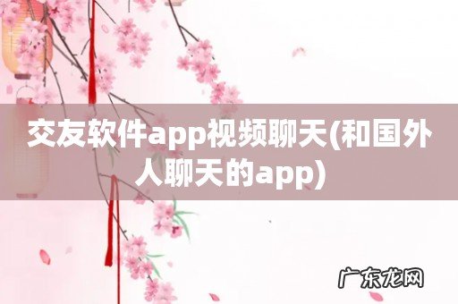 和国外人聊天的app 交友软件app视频聊天