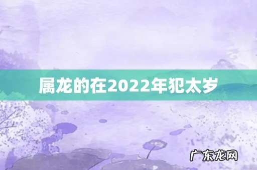 属龙的在2022年犯太岁