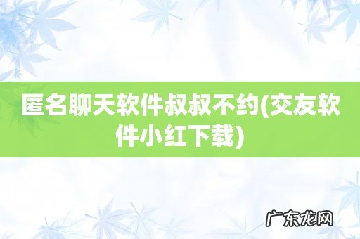 交友软件小红下载 匿名聊天软件叔叔不约