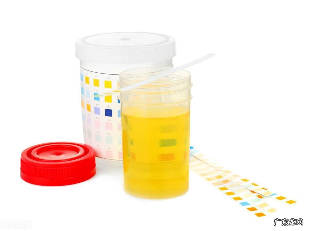 慢性肾炎怎么才能治好 轻度慢性肾炎能治好吗