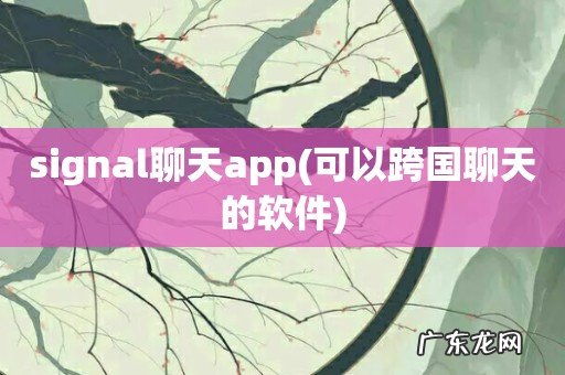 可以跨国聊天的软件 signal聊天app