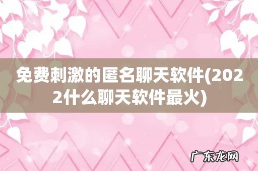 2022什么聊天软件最火 免费刺激的匿名聊天软件