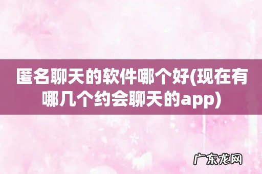 现在有哪几个约会聊天的app 匿名聊天的软件哪个好