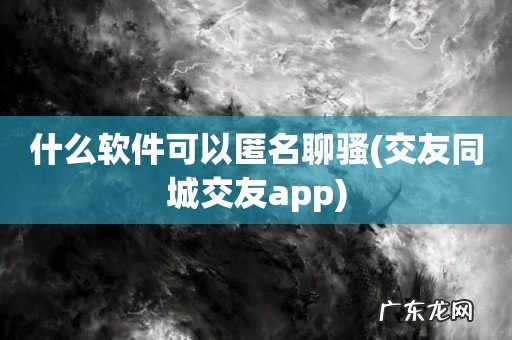 交友同城交友app 什么软件可以匿名聊骚