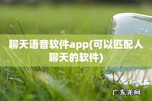 可以匹配人聊天的软件 聊天语音软件app