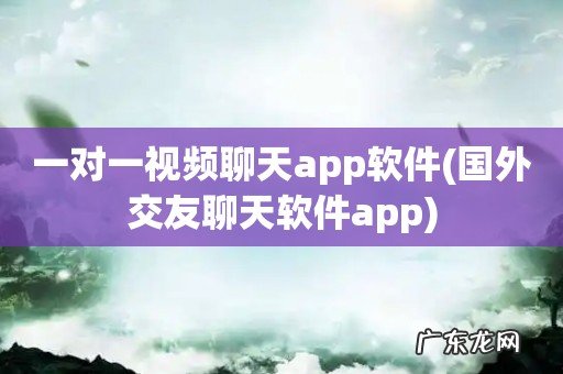 国外交友聊天软件app 一对一视频聊天app软件