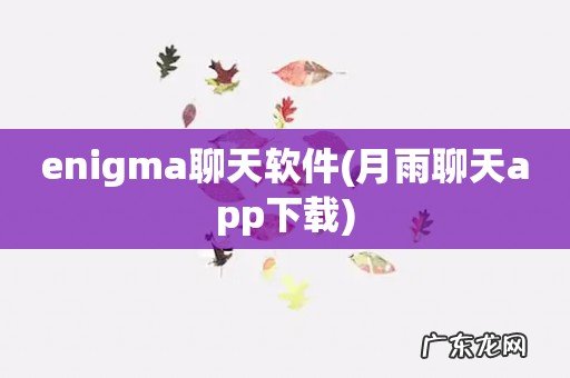 月雨聊天app下载 enigma聊天软件