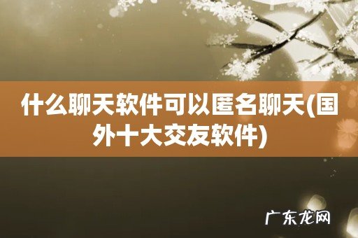 国外十大交友软件 什么聊天软件可以匿名聊天