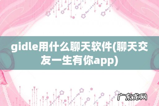 聊天交友一生有你app gidle用什么聊天软件