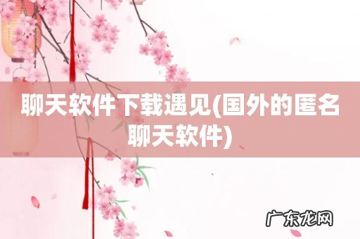 国外的匿名聊天软件 聊天软件下载遇见