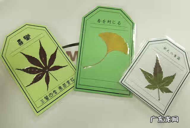 一年级书签制作图片 书签制作小学生步骤