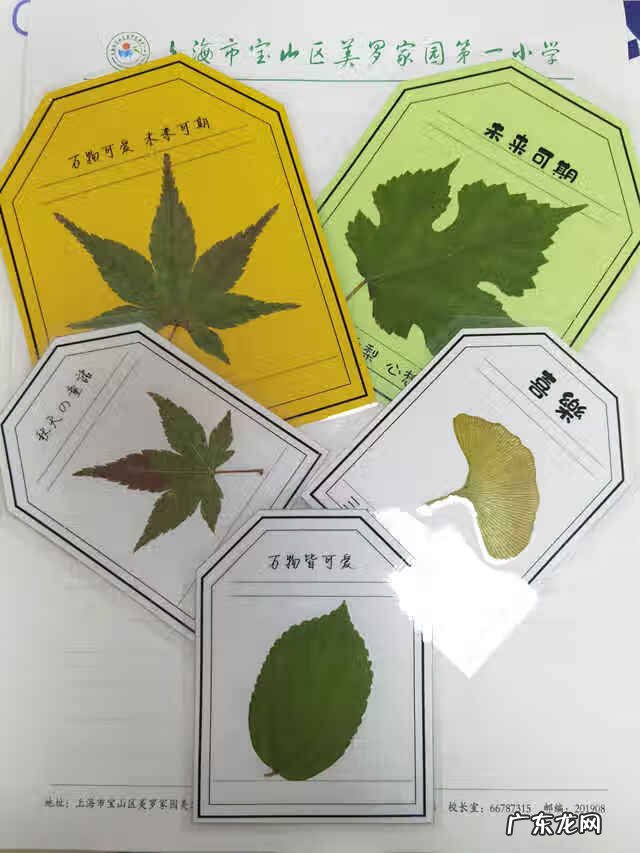 一年级书签制作图片 书签制作小学生步骤