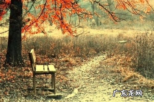 爱情的经典短句 爱情句子图片