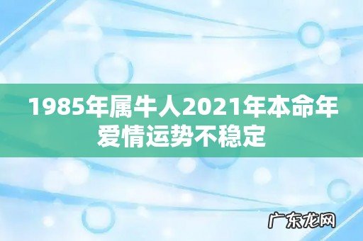1985年属牛人2021年本命年爱情运势不稳定