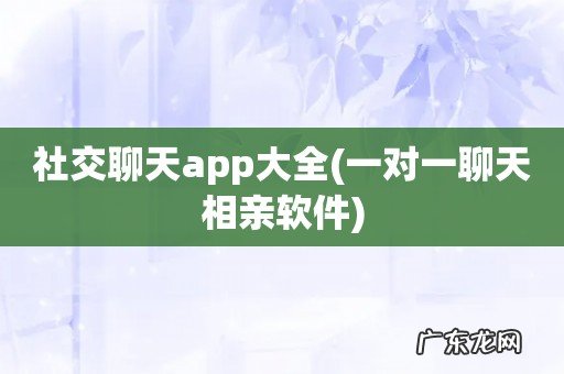 一对一聊天相亲软件 社交聊天app大全