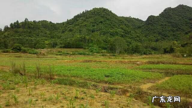 传说中的山 风水里的山家指的是什么