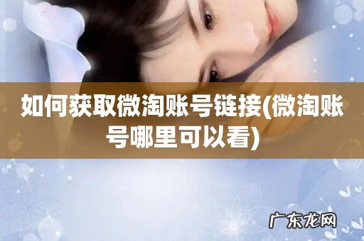 微淘账号哪里可以看 如何获取微淘账号链接