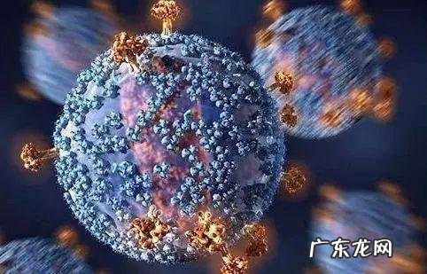 线粒体肌病 线粒体病毒感染