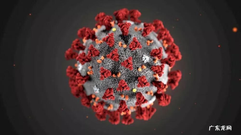 线粒体肌病 线粒体病毒感染