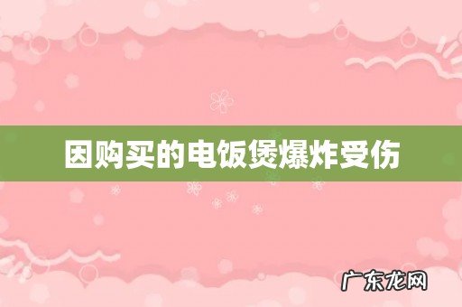 因购买的电饭煲爆炸受伤