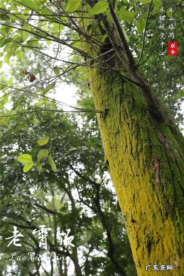 乐山风水大师都有谁 风水中乐山是什么形象