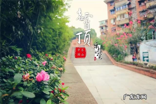 乐山风水大师都有谁 风水中乐山是什么形象