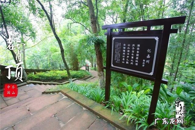 乐山风水大师都有谁 风水中乐山是什么形象