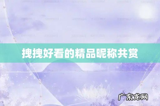 拽拽好看的精品昵称共赏