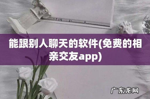 免费的相亲交友app 能跟别人聊天的软件