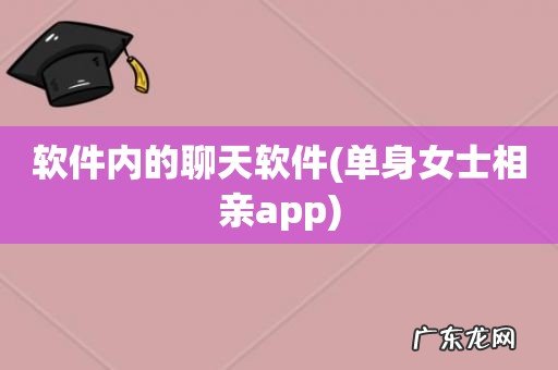 单身女士相亲app 软件内的聊天软件
