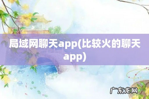 比较火的聊天app 局域网聊天app