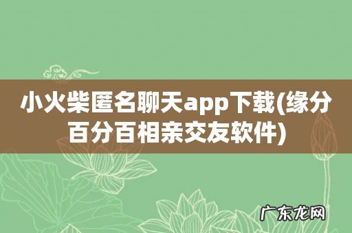 缘分百分百相亲交友软件 小火柴匿名聊天app下载