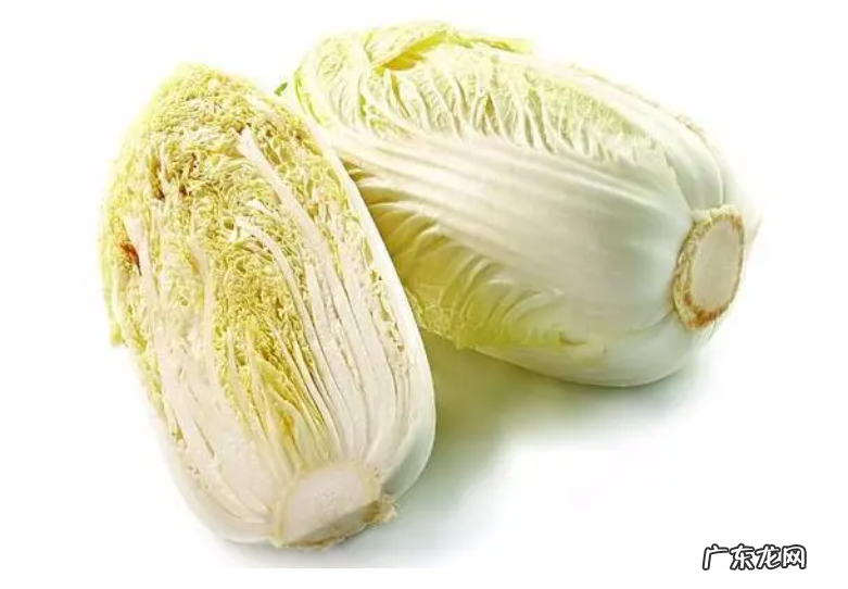 冬日养生之—大白菜篇