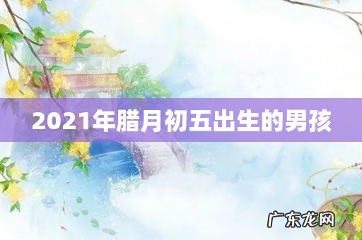 2021年腊月初五出生的男孩