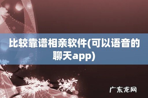 可以语音的聊天app 比较靠谱相亲软件