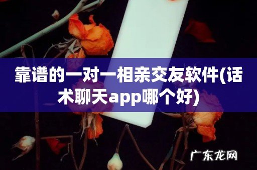 话术聊天app哪个好 靠谱的一对一相亲交友软件