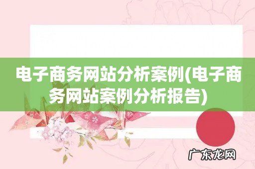 电子商务网站案例分析报告 电子商务网站分析案例