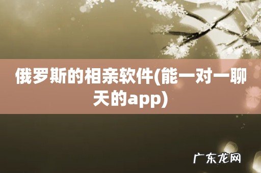 能一对一聊天的app 俄罗斯的相亲软件