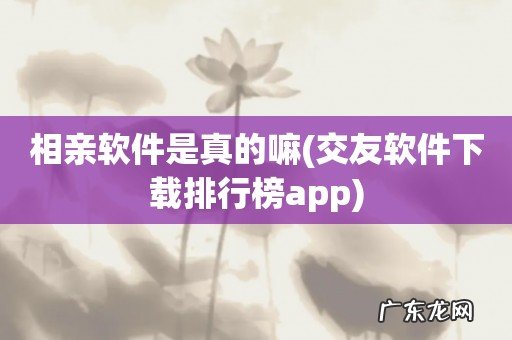 交友软件下载排行榜app 相亲软件是真的嘛