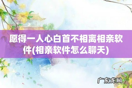相亲软件怎么聊天 愿得一人心白首不相离相亲软件