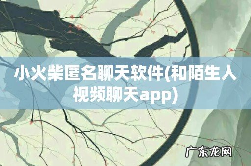 和陌生人视频聊天app 小火柴匿名聊天软件
