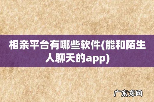 能和陌生人聊天的app 相亲平台有哪些软件